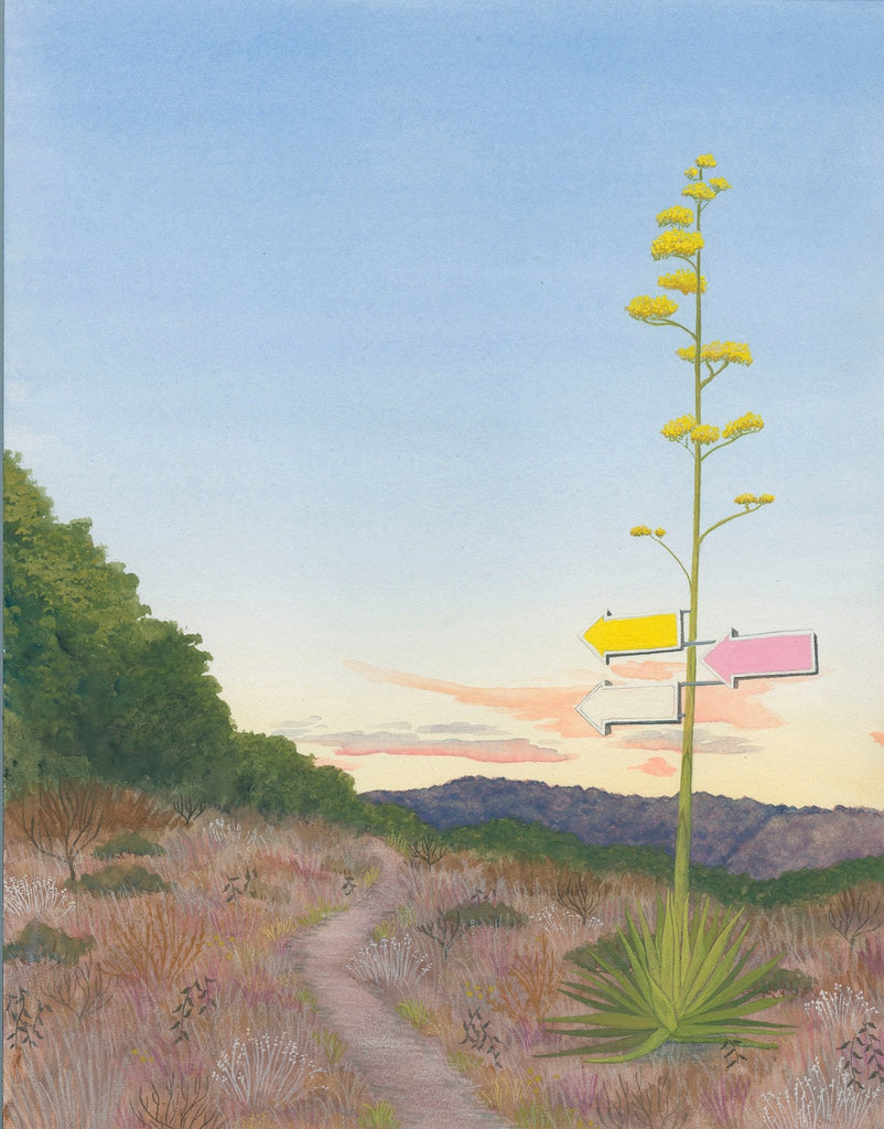 Century Path | {neighborhood} Heather Sundquist