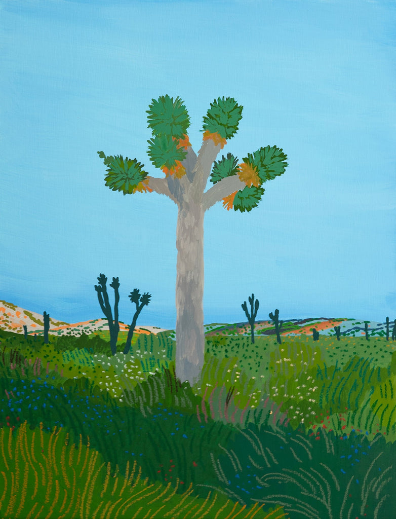 Dawn In Joshua Tree | {neighborhood} Ariel Lee