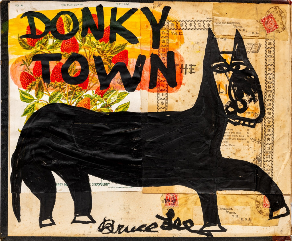 Donky Town | {neighborhood} Bruce Lee Webb