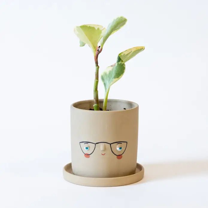 eye plant pot Four-Eyes Faceplanter