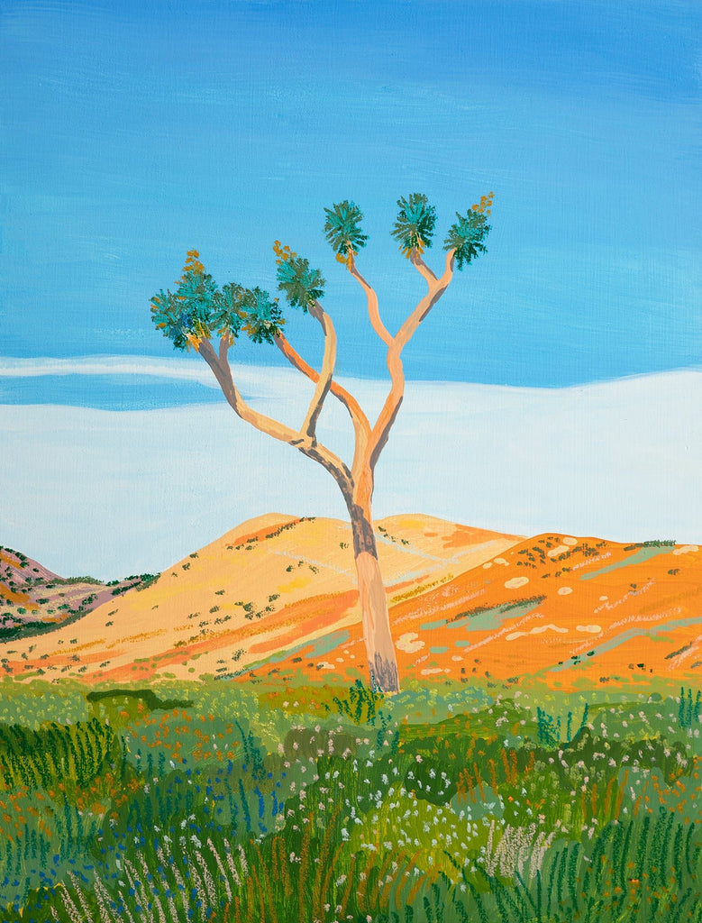Joshua Tree Afternoon | {neighborhood} Ariel Lee
