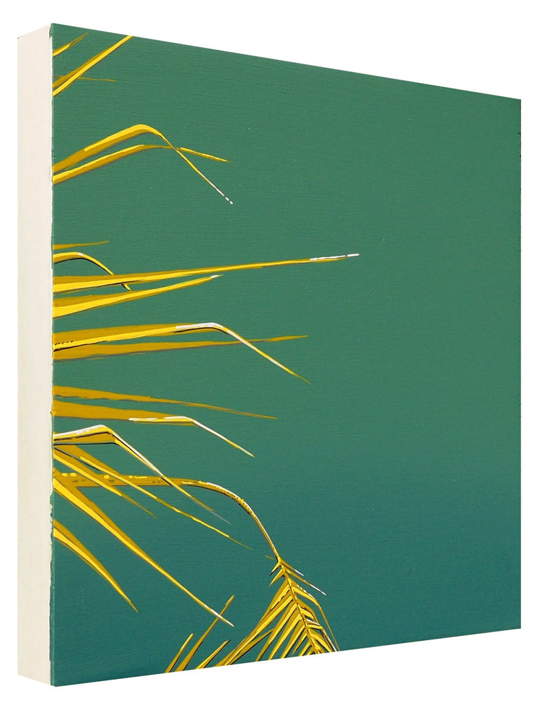 Palm No. 1 | {neighborhood} Alex Waggoner