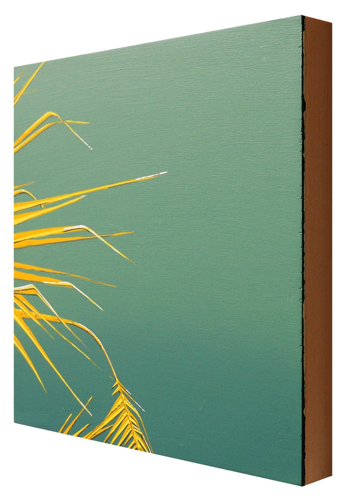 Palm No. 1 | {neighborhood} Alex Waggoner