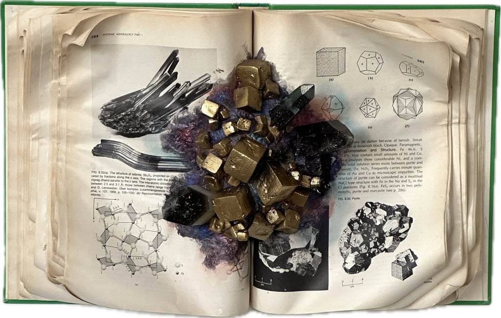 Pyrite Herbarium | {neighborhood} Shamsy Roomiani